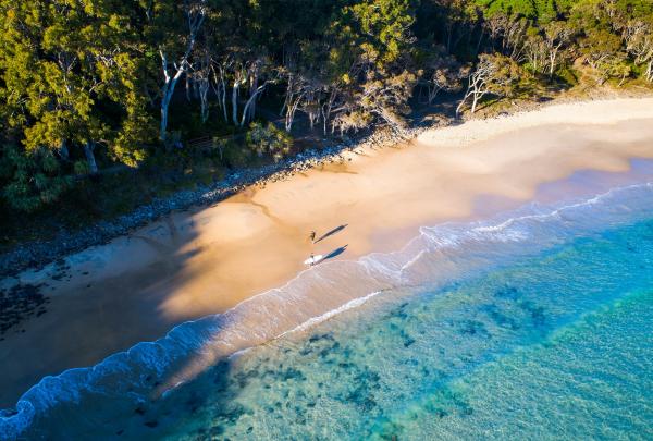 An aerial view surfers carrying boards along golden sand beside crystal-clear turquoise waters backed by native trees, Tea Tree Bay, Noosa National Park, Queensland. © Tourism and Events Queensland
