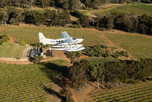 A white Swan River Seaplanes aircraft glides over lush green vineyard rows and rolling countryside in the Margaret River region, Western Australia, under bright daytime sunlight. © Swan River Seaplanes