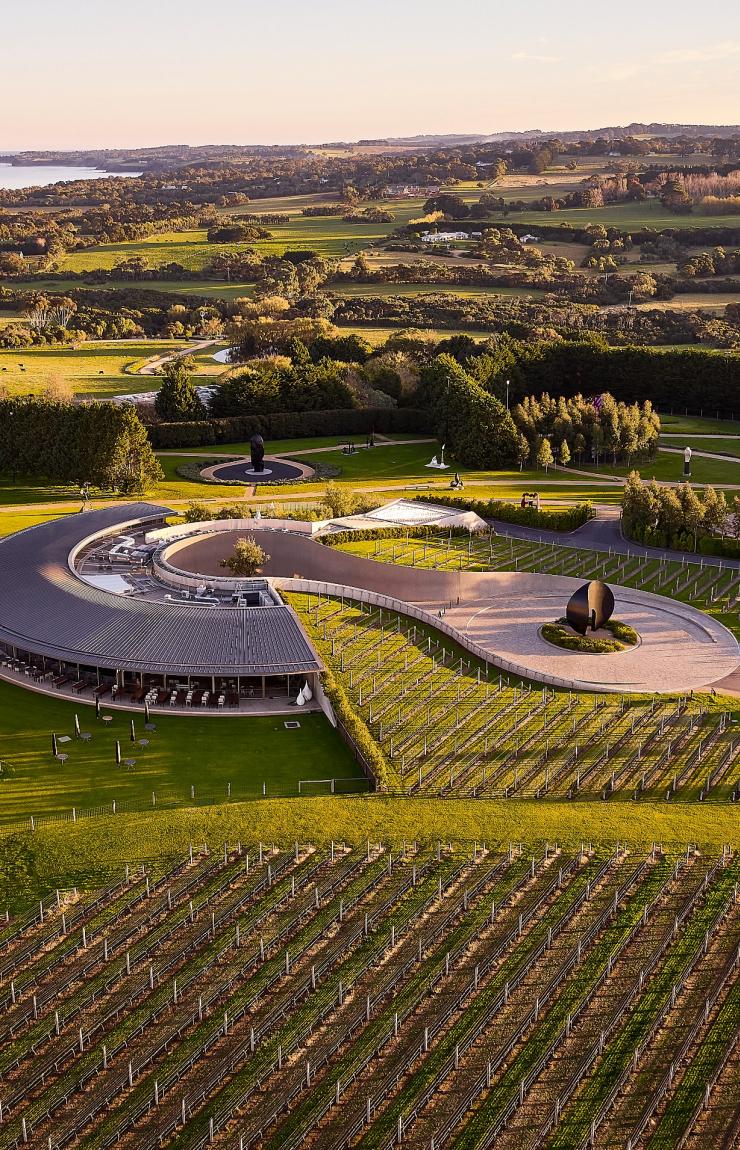 An aerial view shows the curved architecture, sculpture park, and vineyards of Pt. Leo Estate bathed in golden light on the Mornington Peninsula, Victoria, stretching towards the coastline. © Chris McConville