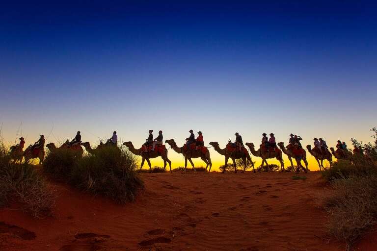 Uluru Camel Tours, NT