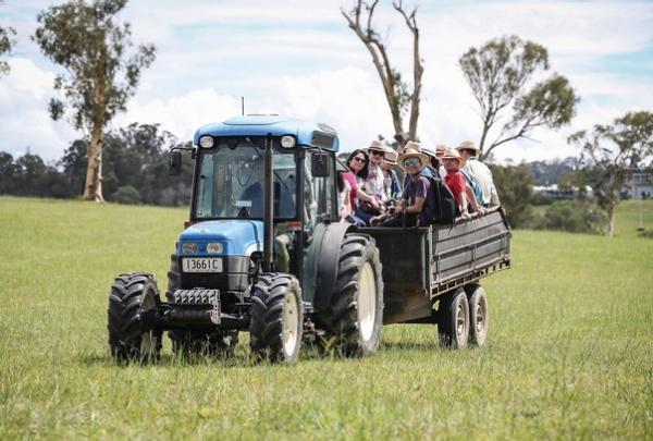 A blue tractor pulls a trailer full of smiling visitors across grassy hills on a property tour at Sirromet Wines in Mount Cotton, Queensland, with gum trees standing tall in the background. © Tourism Australia