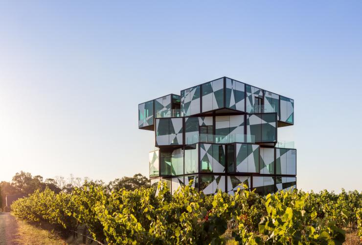 d'Arenberg, McLaren Vale, South Australia  © d'Arenberg