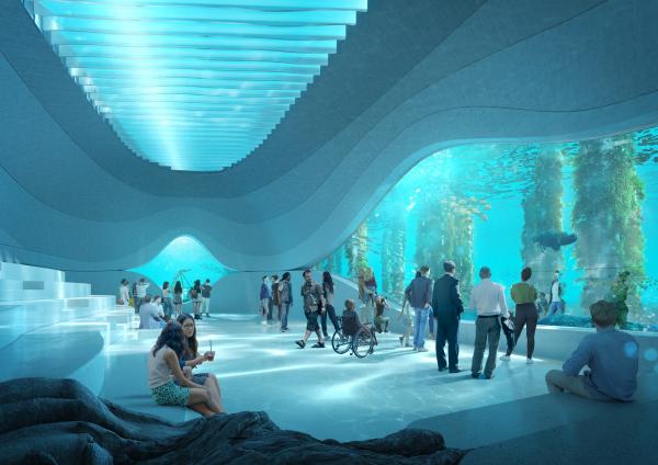Visitors observe vibrant marine life through vast submerged glass windows in a sleek, light-filled underwater observatory, Australian Underwater Discovery Centre, Busselton Jetty, Western Australia. © Busselton Jetty