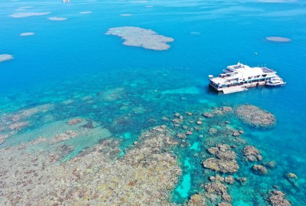 An aerial view shows a floating Reef Magic pontoon surrounded by vibrant coral formations in crystal-clear blue waters, Great Barrier Reef, Queensland. © Reef Magic
