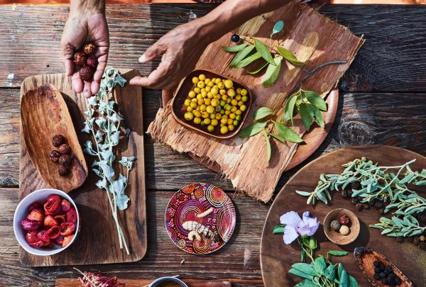 Aerial view over a table set with native bush foods during Bush Tucker Journey, Yulara, Northern Territory © Voyages 