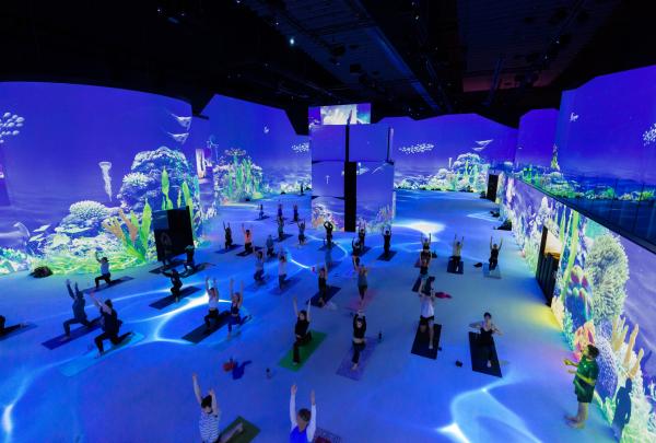 Lume, Melbourne, Victoria © @jazblom / Lume