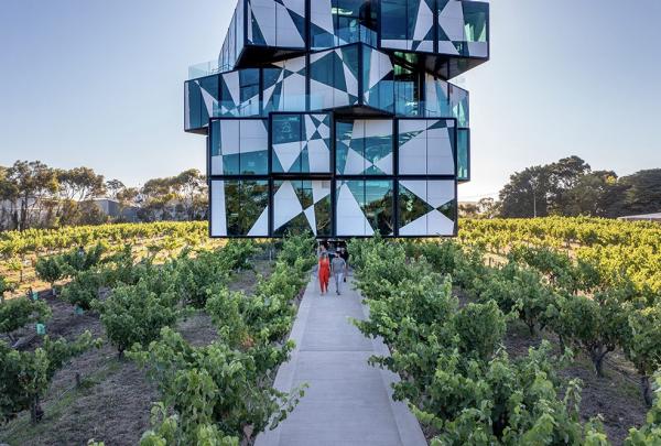 d'Arenberg, McLaren Vale, Fleurieu Peninsula, South Australia © Tourism Australia