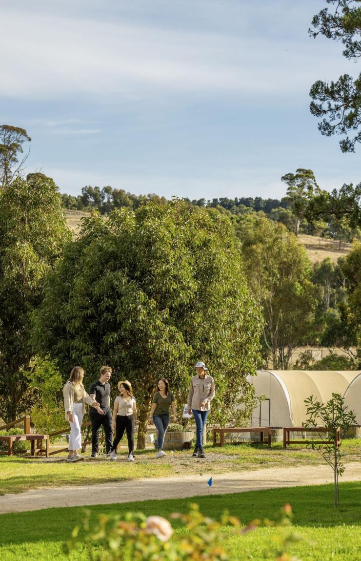 A group walks past the green houses of Jurlique Farm, Adelaide Hills, South Australia © Tourism Australia A group walks past the green houses of Jurlique Farm, Adelaide Hills, South Australia © Tourism Australia