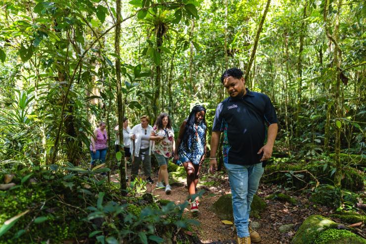 At Mossman Gorge Cultural Centre, Mossman Gorge, Tropical North Queensland, an Indigenous tour guide leads a diverse group of visitors along a dirt walking track that winds through a dense, lush and sun-dappled ancient rainforest. © Tourism Australia