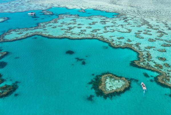Heart Reef in the Great Barrier Reef at Whitsundays viewed from a helicopter © Tourism Australia