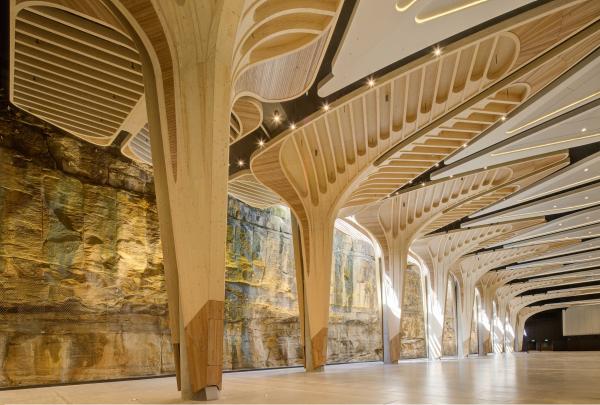 Inside the Cutaway showing the vast event space under the bespoke timber trees © ICC Sydney