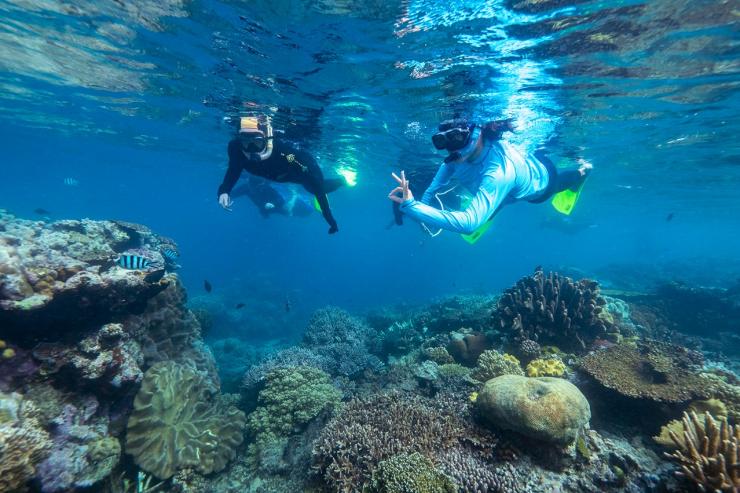 A group of swimmers snorkel over a coral reef © Reef Unlimited/GBR Biology