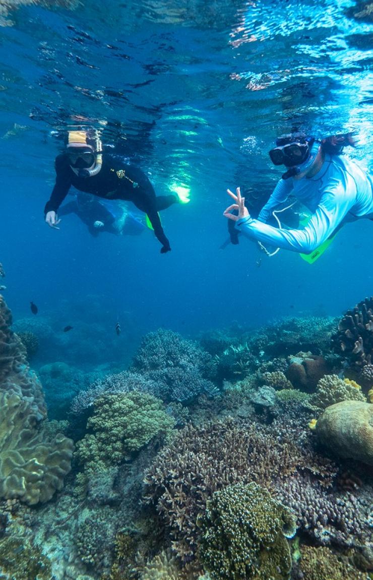 A group of swimmers snorkel over a coral reef © Reef Unlimited/GBR Biology