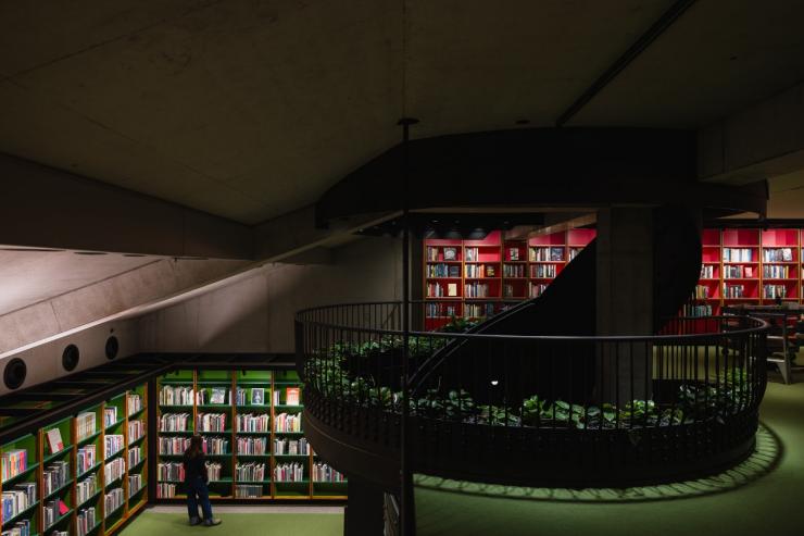 Above a dimly-lit subterranean library room sits a mezzanine, with a tree at its centre. © MONA/Jesse Hunniford
