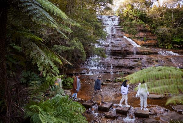 A group of visitors hop stones near a waterfall surrounded by leafy ferns © Tourism Australia