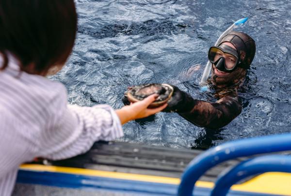 A diver harvests abalone underwater in crystal-clear waters and hands it to someone aboard a tour boat, Jarrad Seng © Tourism Australia