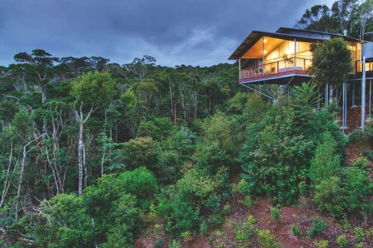 Villas set Set into the hill with a rainforest backdrop at O'Reilly's Rainforest Retreat, Queensland © O'Reilly's Rainforest Retreat