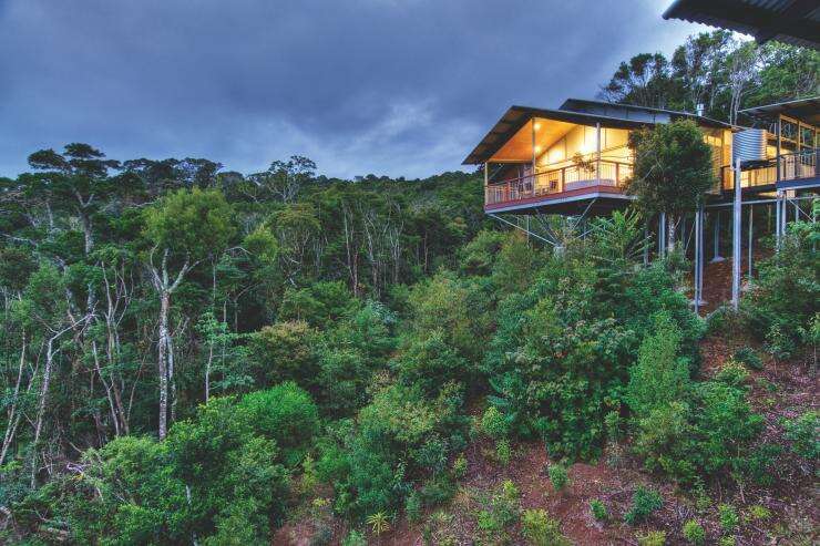 Villas set into the hill with a rainforest backdrop at O'Reilly's Rainforest Retreat, Queensland © O'Reilly's Rainforest Retreat