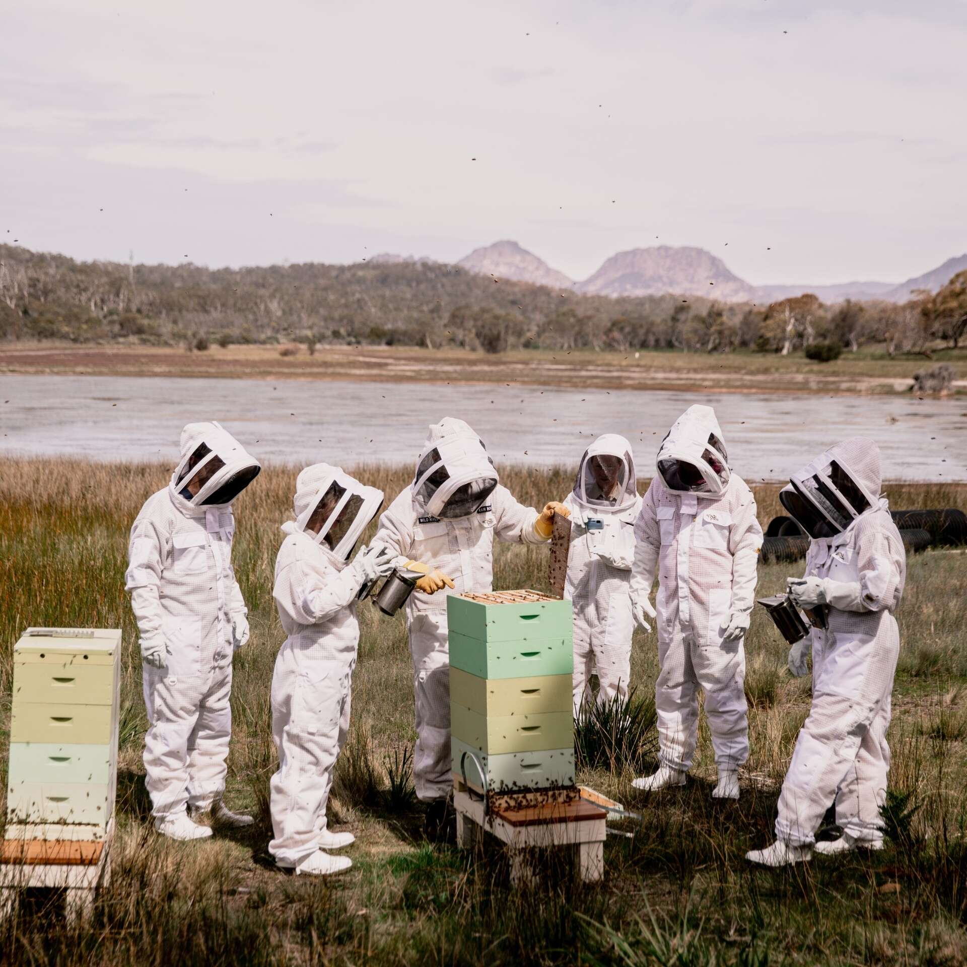 A group stand around Saffire’s beehives during the Beekeeping Experience, Saffire Freycinet © Saffire Freycinet