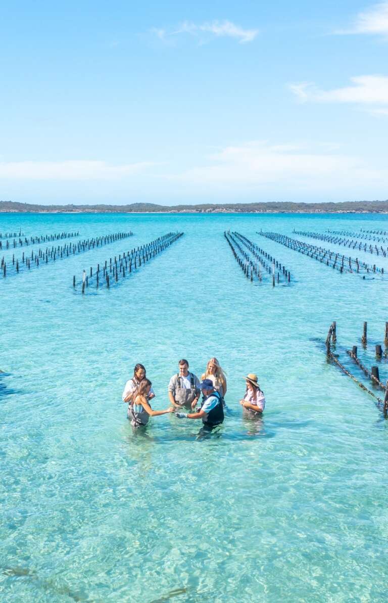 Top down aerial photo of guests wading amongst oyster racks inCoffin Bay ©  Tourism Australia
