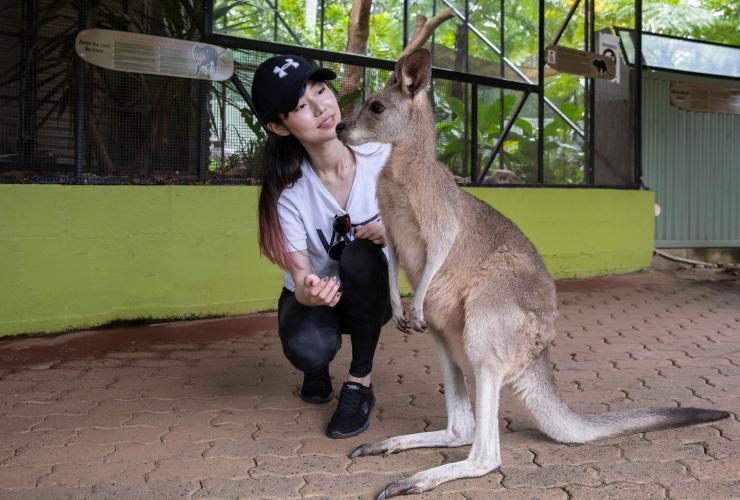 Amway China 2019 Leadership Seminar, Rainforestation Nature Park, Cairns, Queensland © Tourism Australia 