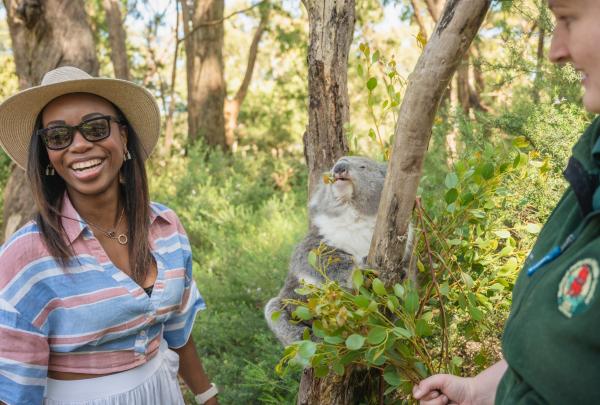 Cleland Wildlife Park, Adelaide Hills, South Australia © Tourism Australia