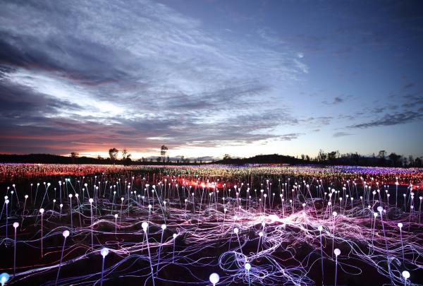 Field of Light, Uluru-Kata Tjuta National Park, Northern Territory © Voyages Indigenous Tourism Australia