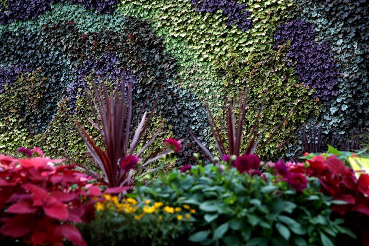 The CALYX, Sydney, New South Wales © Tourism Australia