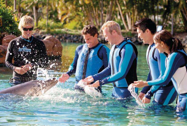 Sea World Dolphin Cove, Gold Coast, Queensland © Tourism and Events Queensland
