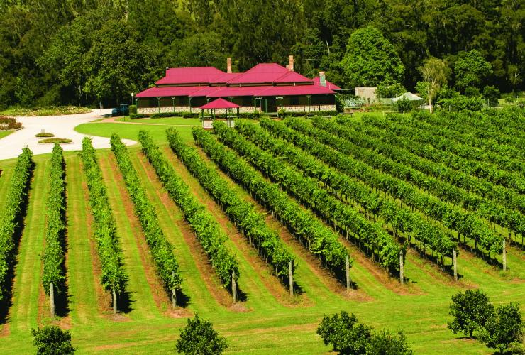 O'Reilly's Canungra Valley Vineyard, Queensland © O'Reilly's Canungra Valley Vineyard