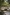 Voyages Indigenous Tourism Australia, Mossman Gorge Centre, Queensland © Tourism and Events Queensland
