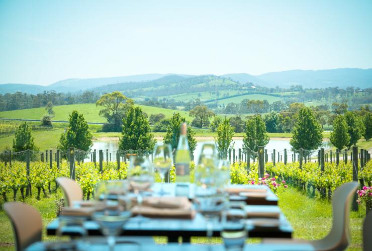 Oakridge Winery, Yarra Valley, Victoria © Oakridge Winery