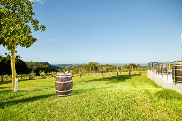 Flame Hill Vineyard, Montville, Queensland © Tourism Australia