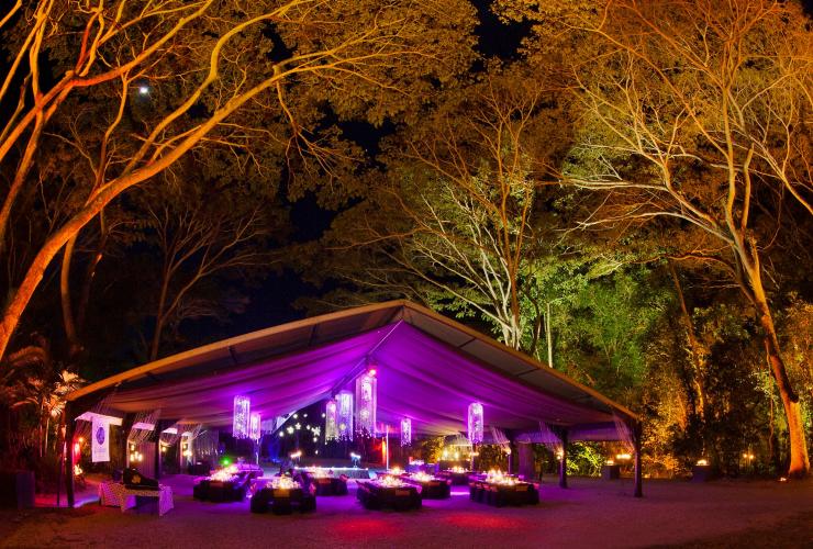 Flames of the Forest, Port Douglas, Queensland © Lovegreen Photography