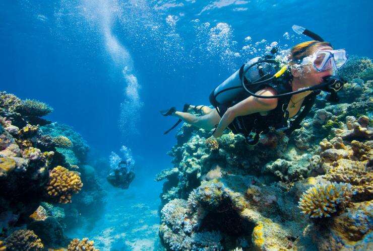 Scuba diving, Lizard Island, Great Barrier Reef, Queensland © Darren Jew, Tourism and Events Queensland