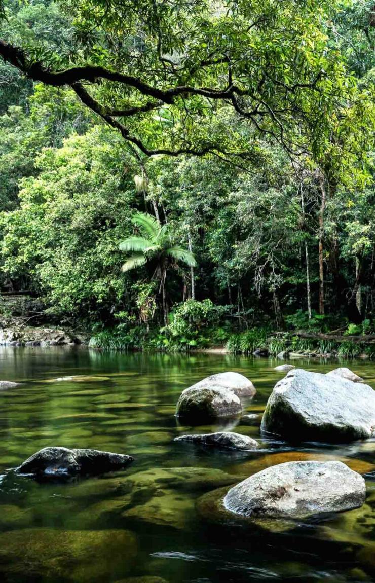 Mossman Gorge, Queensland © James Vodicka