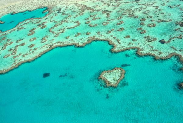 Heart Reef, Great Barrier Reef, Queensland © Tourism Whitsundays