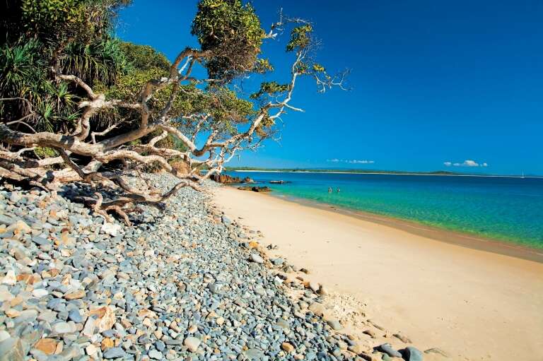 Little Cove Beach, Noosa, Sunshine Coast, Queensland © Tourism Sunshine Coast