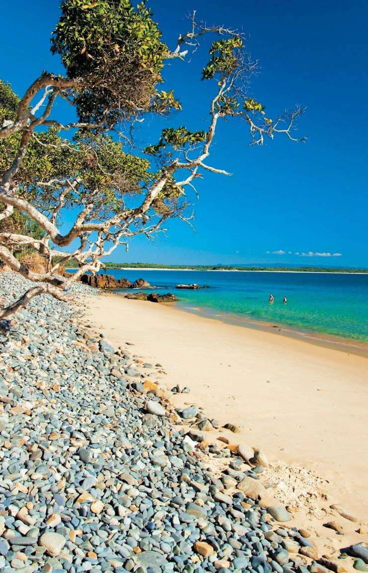 Little Cove Beach, Noosa, Sunshine Coast, Queensland © Tourism Sunshine Coast