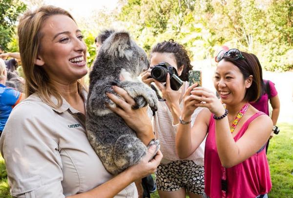 Australia Zoo, Sunshine Coast, Queensland © Tourism and Events Queensland