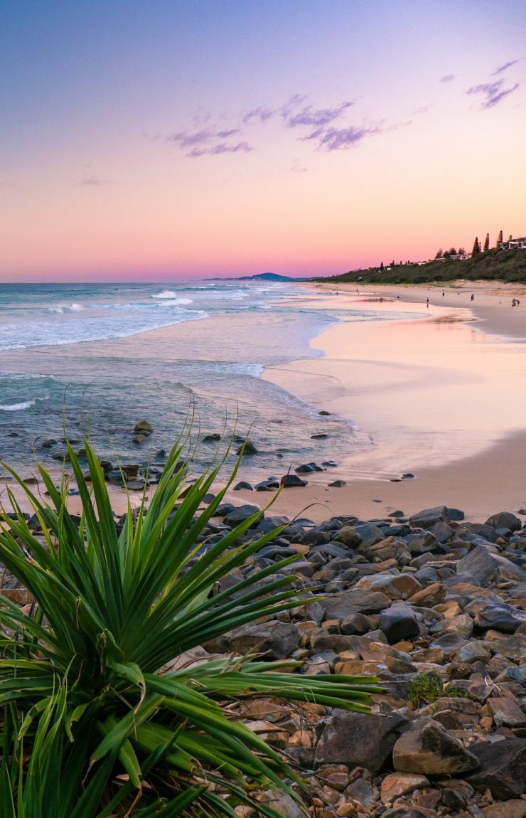 Noosa National Park, Noosa Heads, QLD © Tourism Australia