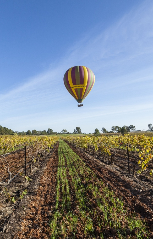 Balloon Aloft, Hunter Valley, New South Wales © Murray Vanderveer, Destination NSW