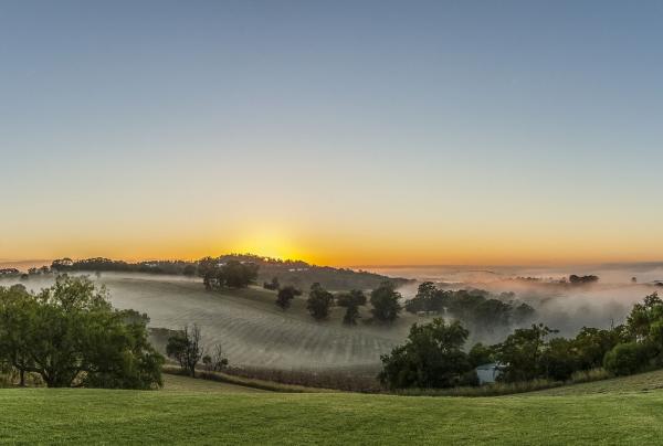 Audrey Wilkinson Wines, Hunter Valley, New South Wales © Destination NSW