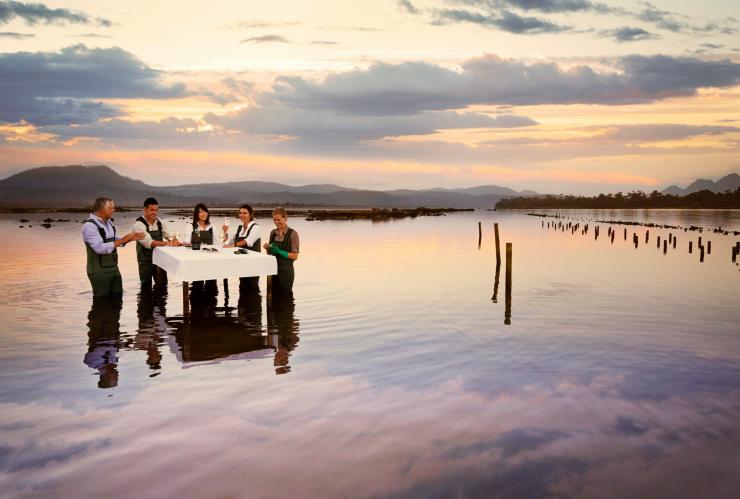 Oyster shucking, Freycinet Marine Oyster Farm at Saffire Freycinet, Coles Bay, Tasmania © Tourism Australia