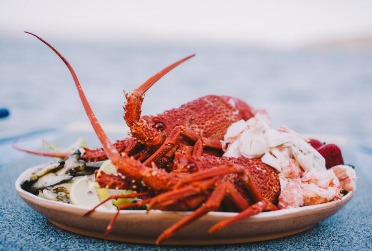 Lobster, Tasmanian Seafood Seduction, Pennicott Wilderness Journeys, Bruny Island, Tasmania © Tourism Australia
