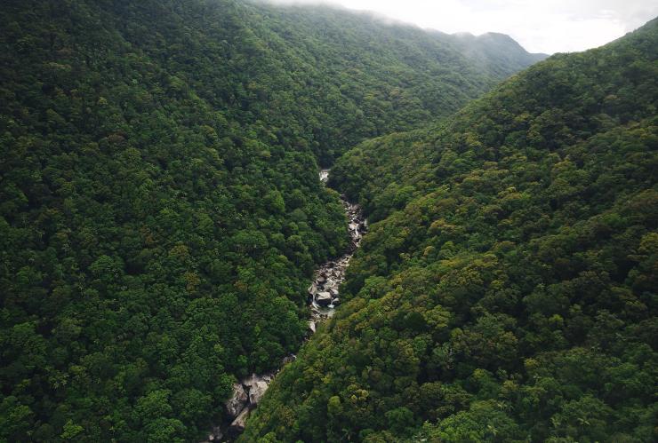 Mossman Gorge, Daintree Rainforest, Queensland © Tourism Tropical North Queensland