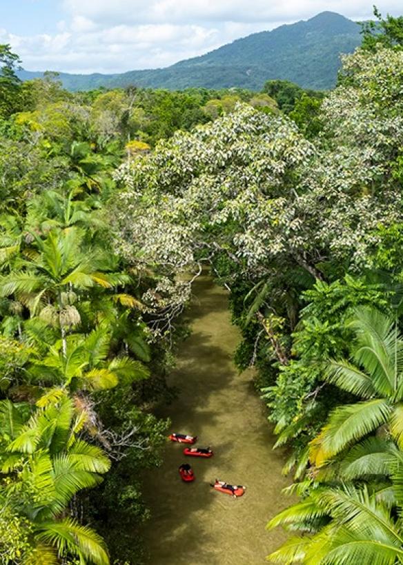 Back Country Bliss, Daintree, Queensland © Back Country Bliss Adventures