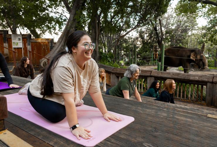 A group yoga session at Perth Zoo, Perth, Western Australia © Perth Zoo / The Hike Collective