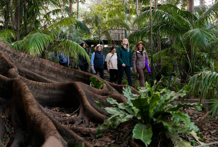A group yoga session at Perth Zoo, Perth, Western Australia © Perth Zoo / The Hike Collective