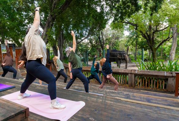 A group yoga session at Perth Zoo, Perth, Western Australia © Perth Zoo / The Hike Collective